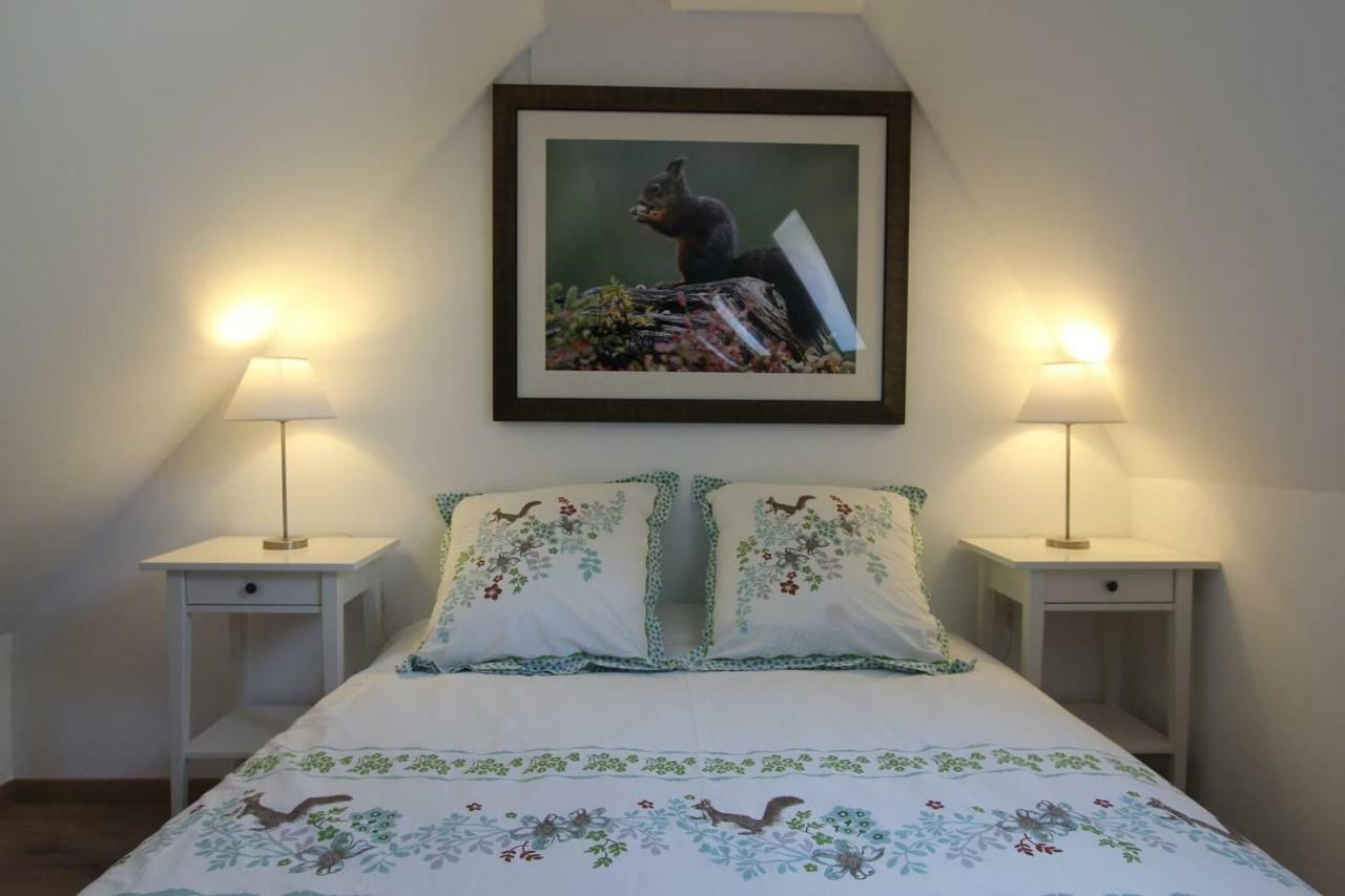 Chambre Chez L'Habitant - L Ecureuil - Coeur De Riquewihr - 2 Personnes 외부 사진